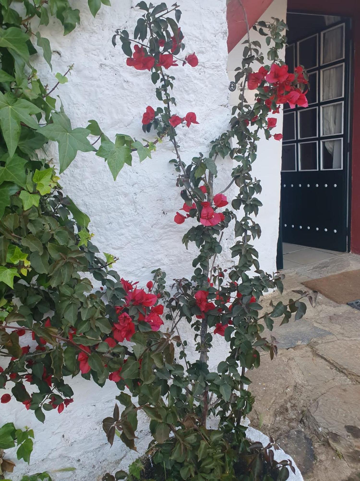 Hotel Rural El Vaqueril Navas del Madroño Kültér fotó