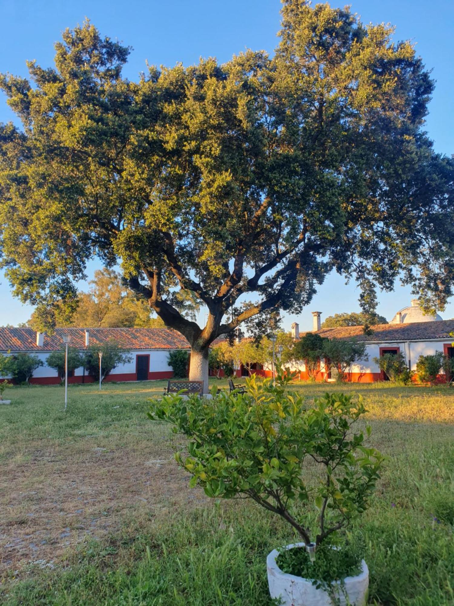 Hotel Rural El Vaqueril Navas del Madroño Kültér fotó