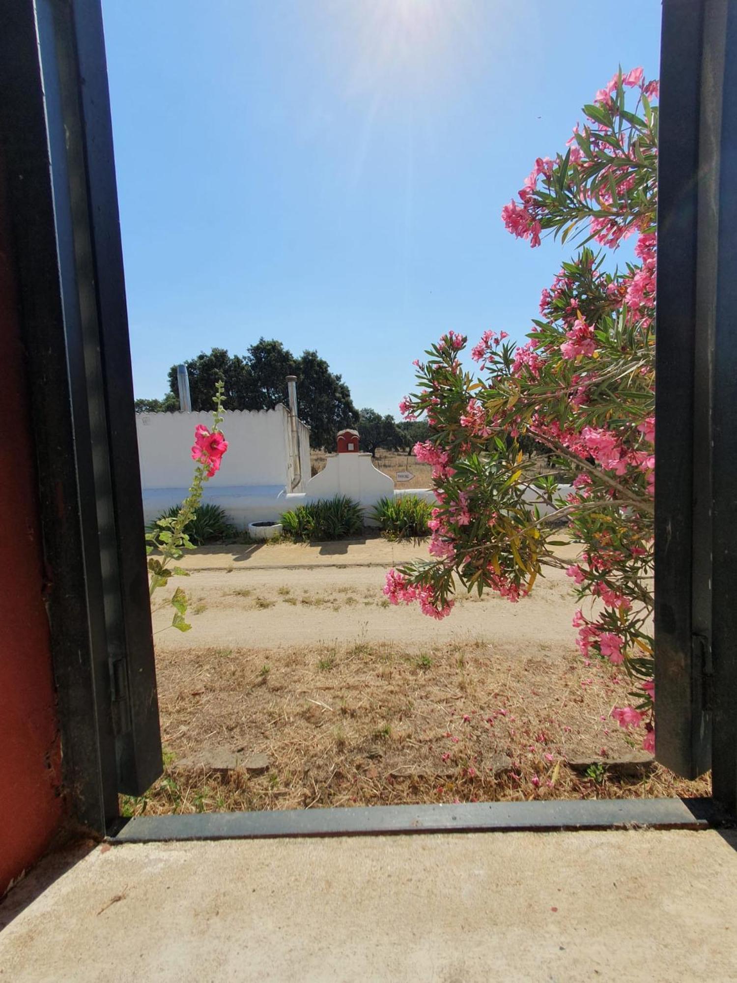 Hotel Rural El Vaqueril Navas del Madroño Kültér fotó