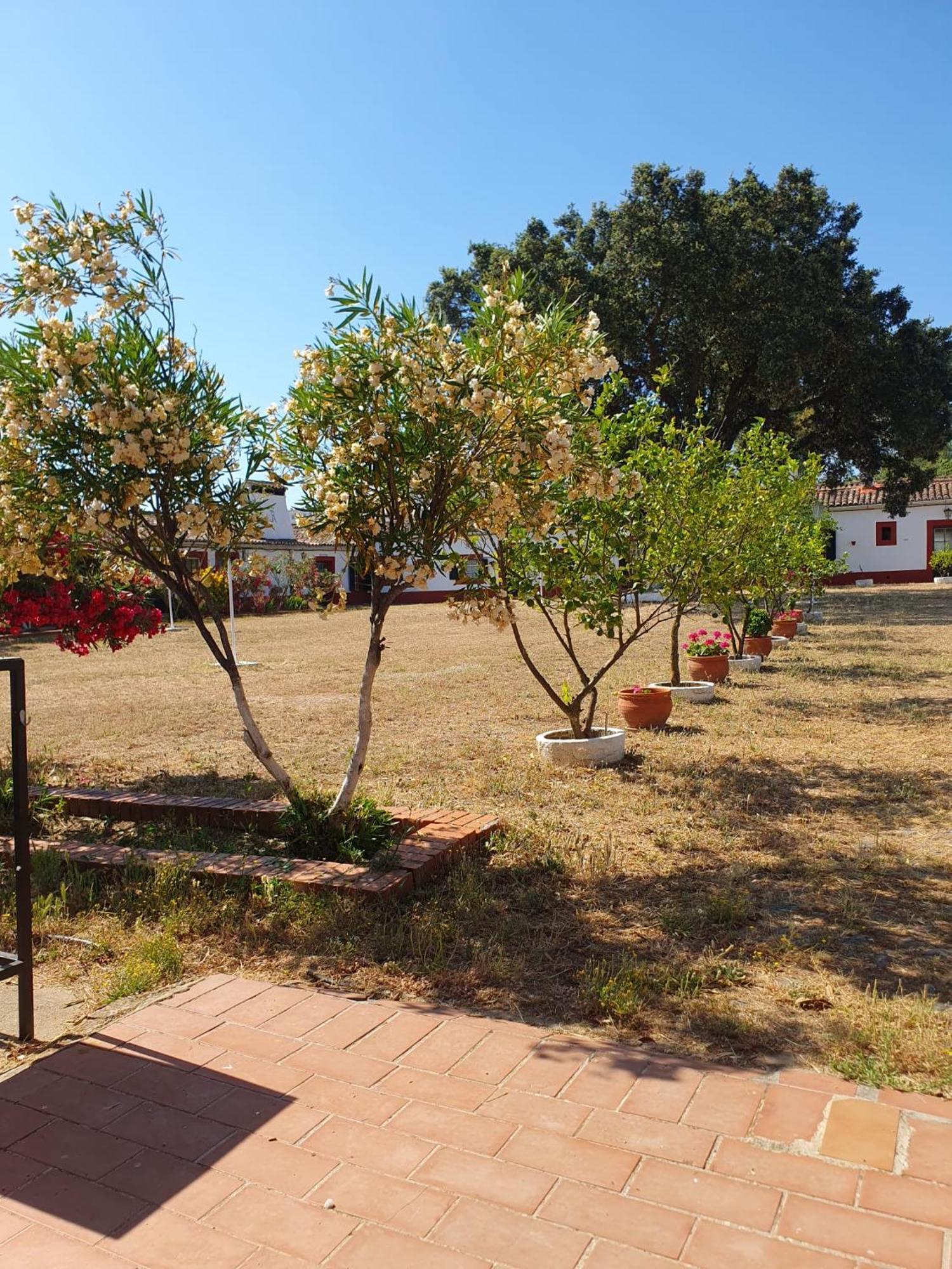 Hotel Rural El Vaqueril Navas del Madroño Kültér fotó