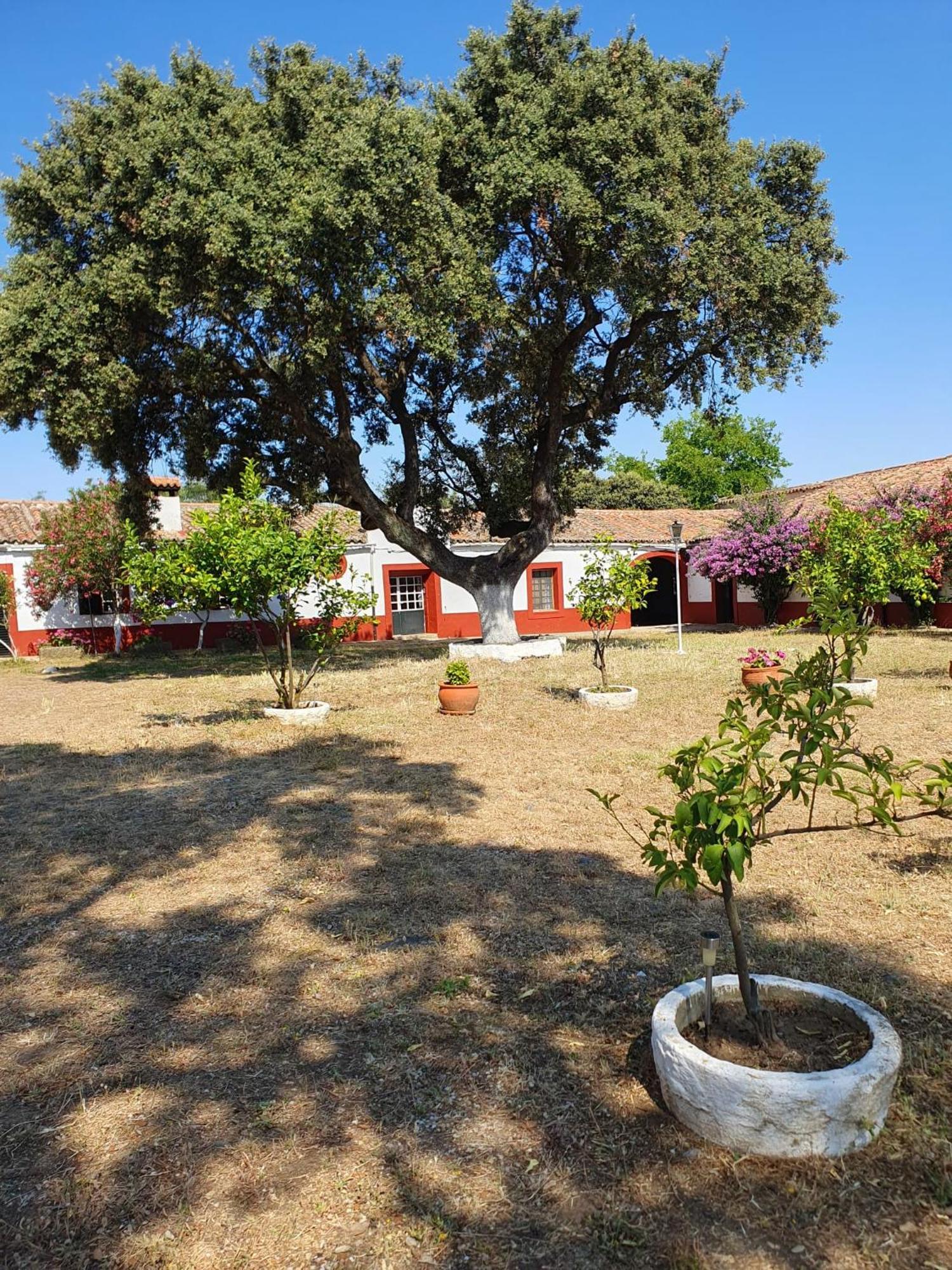 Hotel Rural El Vaqueril Navas del Madroño Kültér fotó